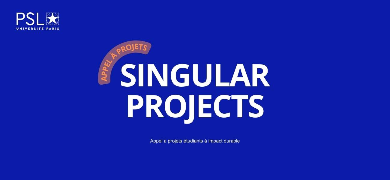 Singular projects 2023