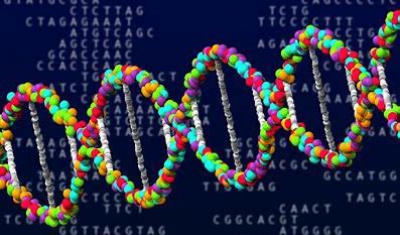Biomarqueurs ARN non référencés