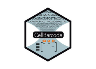 Un code-barre d’ADN pour déterminer l’origine de groupes de cellules